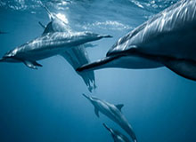 开云体育-【新秀列传】状元郎是个苦命娃，一年失去两位至亲